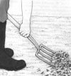 Спаржа (аспарагус) - перекопка почвы